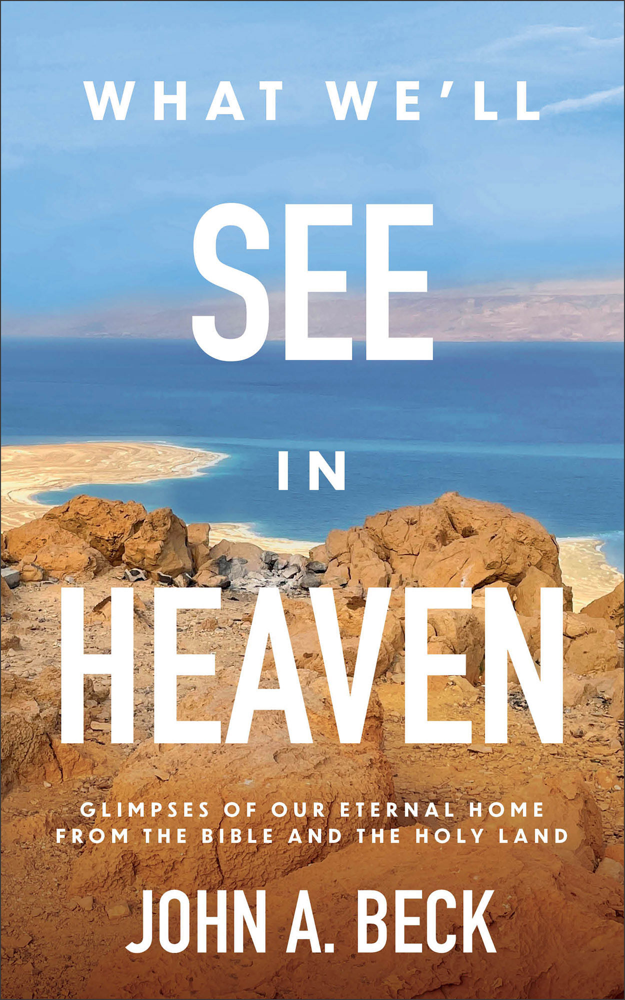 Book cover of 'What We'll See in Heaven'