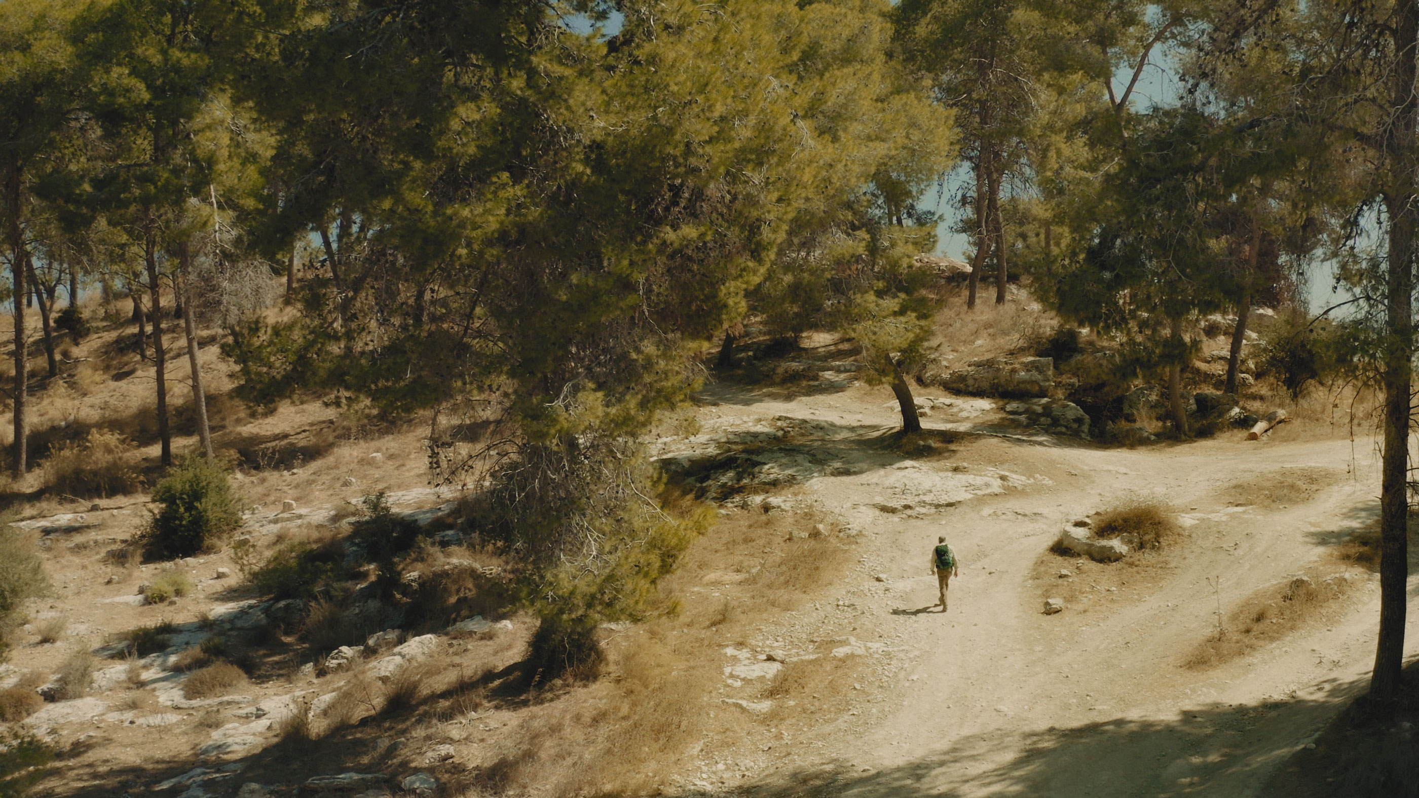 Hiker walking on a forest trail